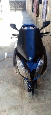 ماجسته • شغاله