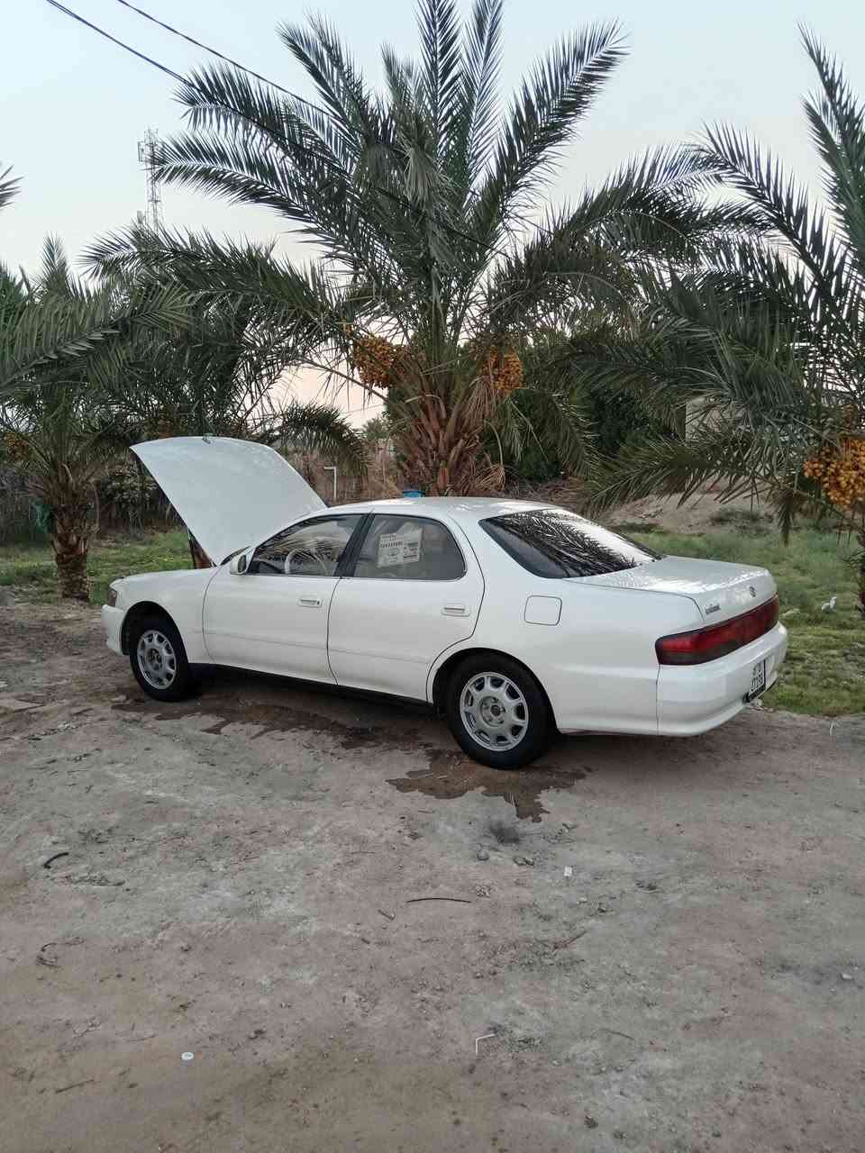 سلام عليكم كرسته نفخ مديل ٩٤ رقم انبار دولي سنويه لل ٣١ مكفوله من ضربه القويه محرك كير حداديه كهربائيات تبريد ثلج دواخله نظيفه كلش للبيع او مراوس
مكاني نجف مناذره السعر ٦٥ او بيهه مجال وتساب ***********
