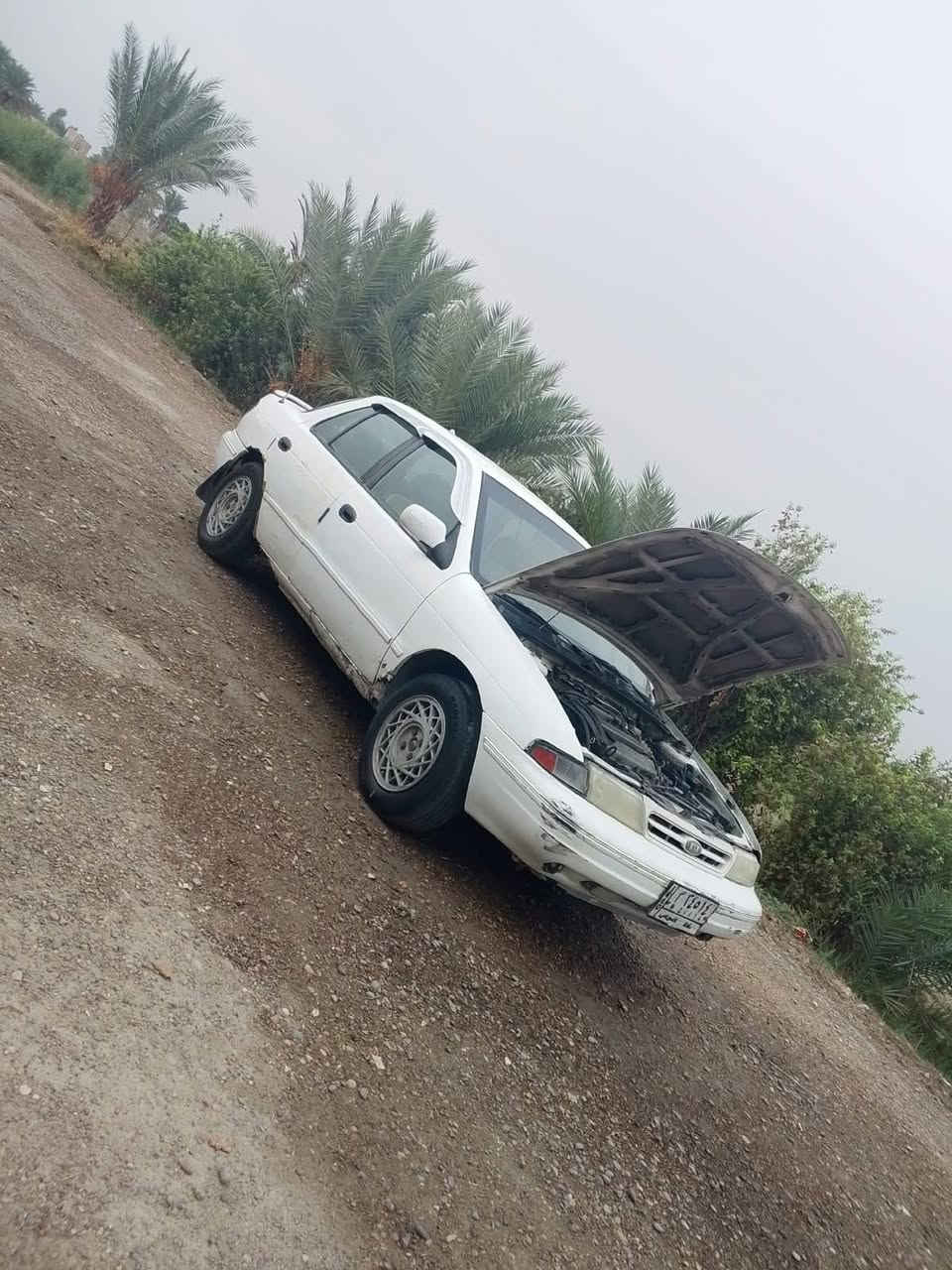 سيفيا • ١٩٩٤ • محرك مسكر