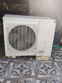 سبلت • طنين • نضيف