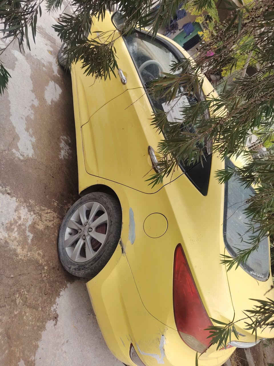 اكسنت ٢٠١٢ • رقم نينوى • أحمر