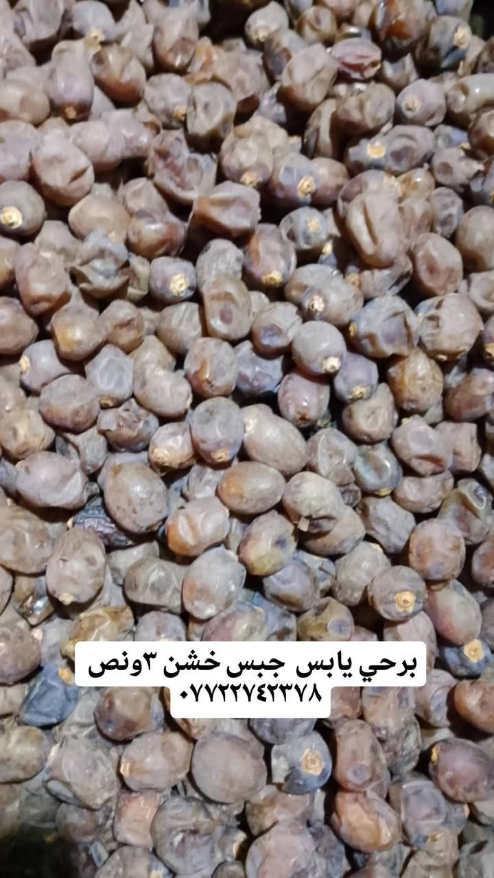 برحي يابس • عسل سدر أصلي • البصره ابو صخير