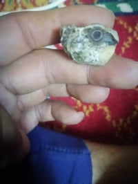 عطفه • بريه • بصره