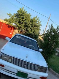 بطه • بدون صبغ • تواير نضيف