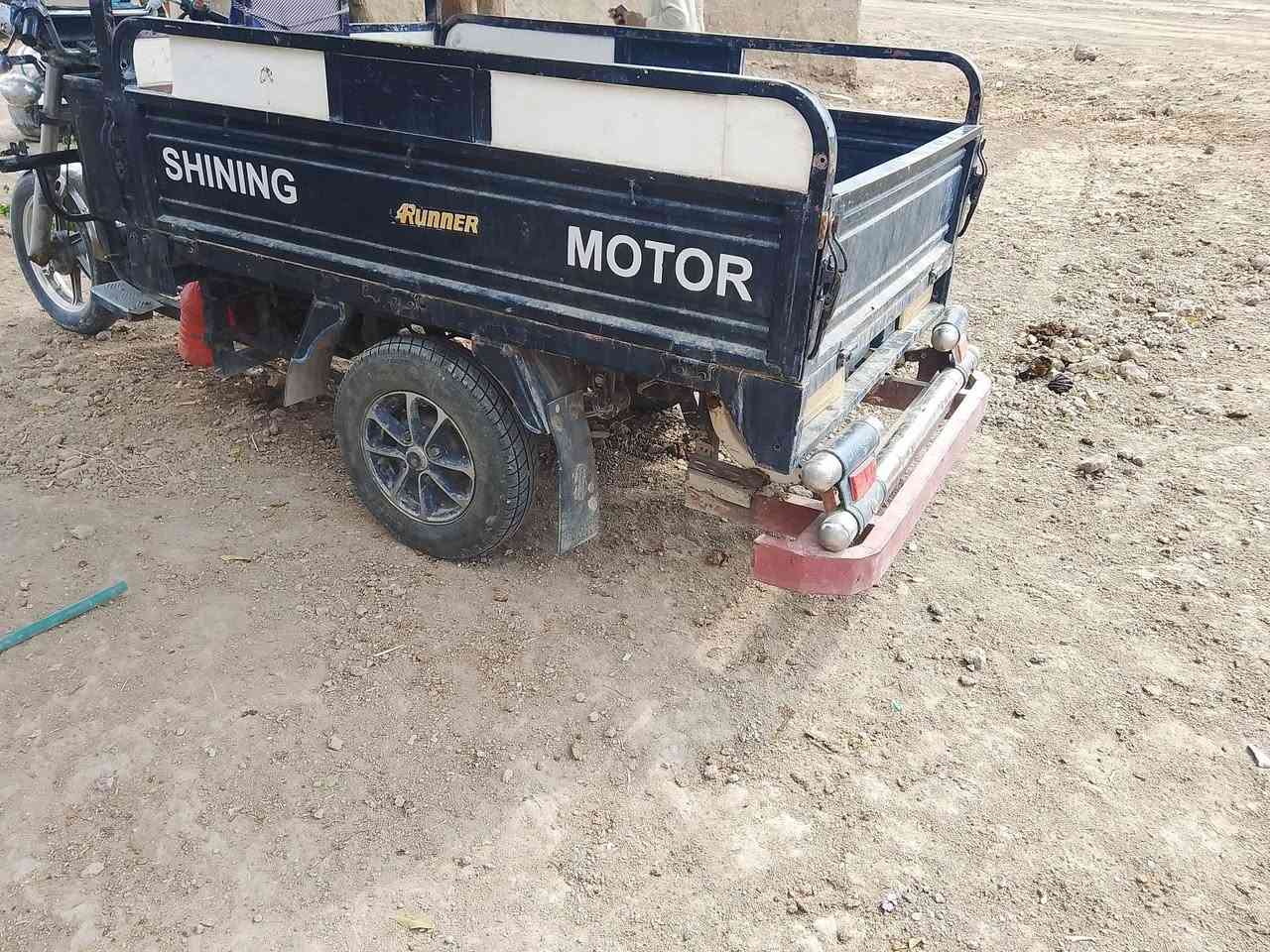 ستوته • فحل • مديل ٢١