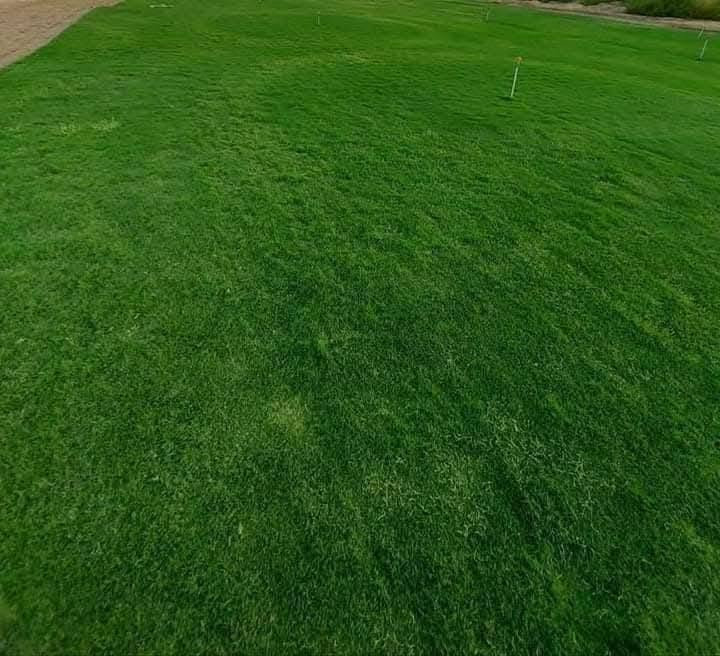 🌿 في بداية الموسم الجديد 🌿
نُعلن عن توفر الثيل الهندي الطبيعي – درجة أولى 💚
خضار 100٪ ويتحمل جميع الظروف المناخية 🌞🌧️

✅ نوعية ممتازة
✅ دائم الخضرة
✅ توصيل سريع لجميع محافظات العراق
✅ أسعارنا الأنسب… وتخفيضات لفترة محدودة 🫢

✨ نوفر أفضل أنواع الثيل الطبيعي:
#هندي – #أمريكي – #إيطالي – #إنكليزي

📌 جاهزون لتجهيز وفرش الحدائق 🏡
والدوائر الحكومية 🏢
والملاعب 🏟️ والمنتزهات 🌳

⏱️ توصيل خلال 24 ساعة
💸 الأسعار حسب الكمية

📞 للاستفسار والتواصل:
‏‪***********
***********
أهلاً بكم في مزارع ديالى لثيل الهندي الطبيعي 🌱
#ثيل_طبيعي #مزارع_حسن #ديالى #تنسيق_حدائق #عروض_مميزة #عشب_طبيعي #ثيل_عراقي
