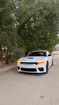 بابل الحمزه الغربي - جامعة المستقبل • جارجر 2023 • طالب جامعي