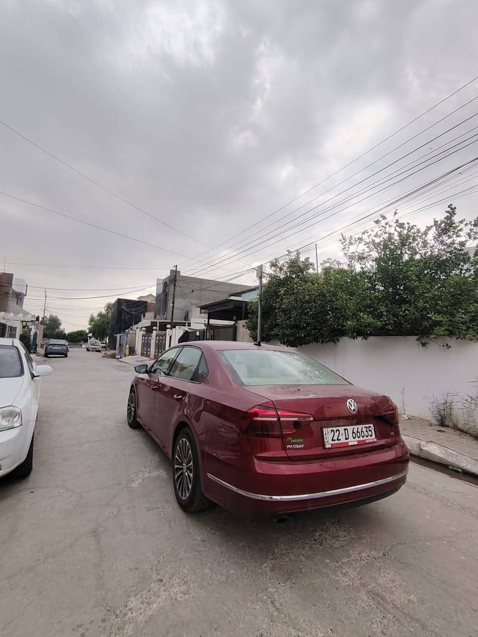 باسات ٢٠١٩ • تيربو • سقف بانوراما