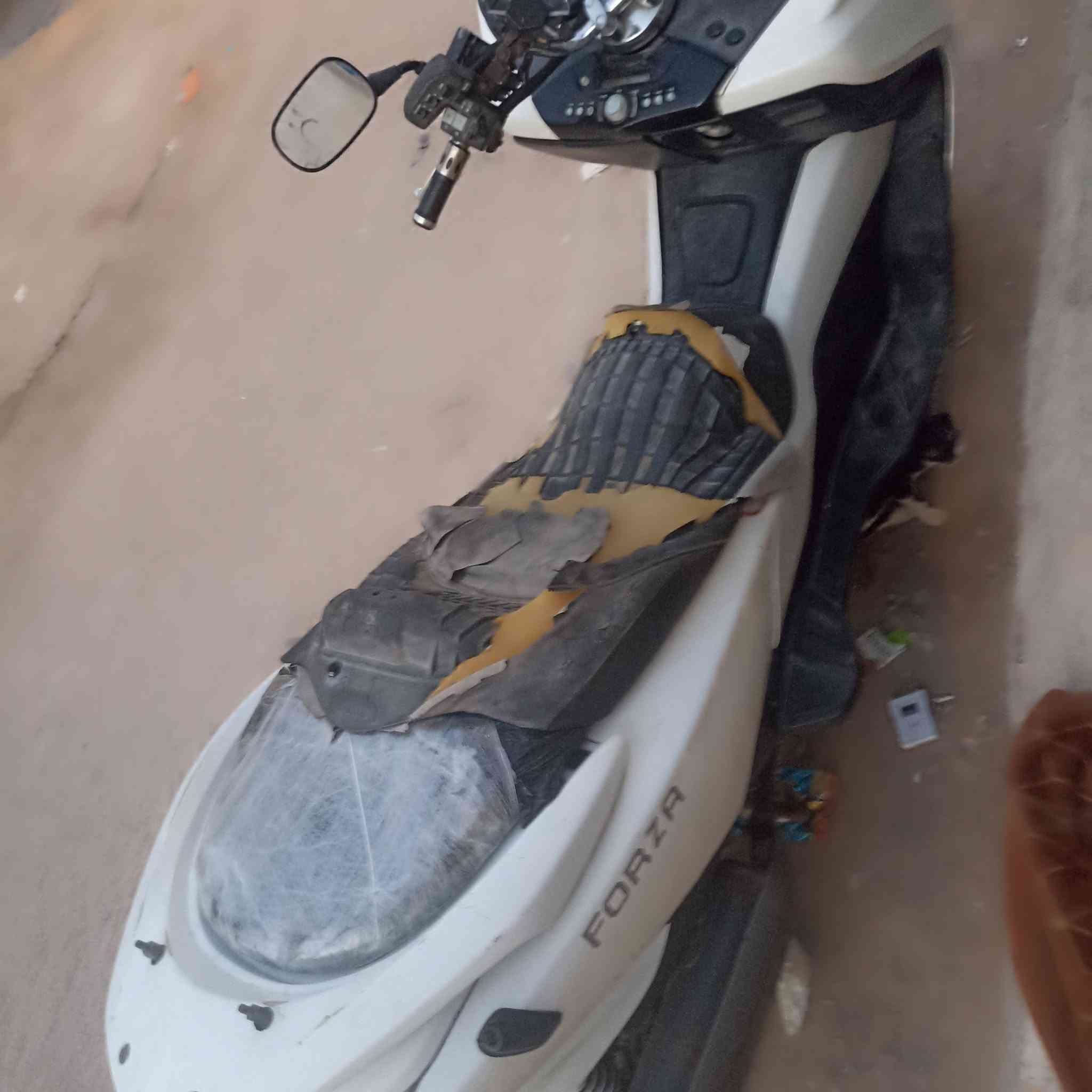 فورزه للبيع سعر 600 وبيها مجال 
رقم***********
