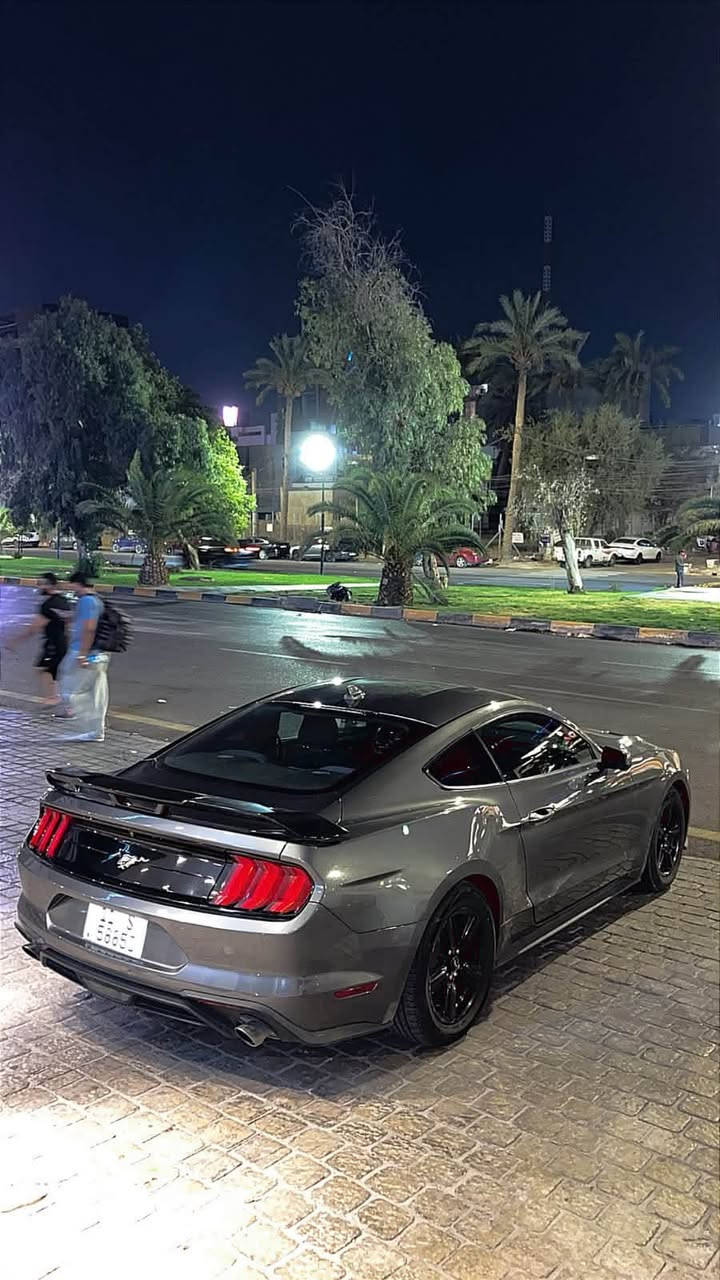 ⚪️موستنك 2021 ECO BOOST
🔴رقم بغداد -11-
🔴محرك 2300 TURBO
🔴ماشية 58
_______________________________________
Cruise Controlمثبت سرعة🔵
Autonomous Driving قيادة ذاتية🔵
Front and Rear Parking Sensors رادارات🔵
Blind Spot نقطة عمياء🔵
Rear camera كاميرا خلفية🔵
GT سبايدر🔵
10-speed transmission ناقل حركة ١٠ سرعات🔵
5 Drive Modes ٥ وضعيات قيادة🔵
3 Modes steering ٣ وضعيات ستيرن🔵
( Normal - Original - Sport ) 🔵
LED اضاءة خلفية🔵
LED نهاري🔵
_______________________________________
⭕️ملاحظات السيارة:- جاملغ و بنيد صبغ مع باب سايق كلير بامريكا
⭕️عنوان السيارة 📍:- بغداد - الكرخ
⭕️السعر 💵:- 158$ وبيها مجال 
⭕️للاستفسار 📲:- ***********
