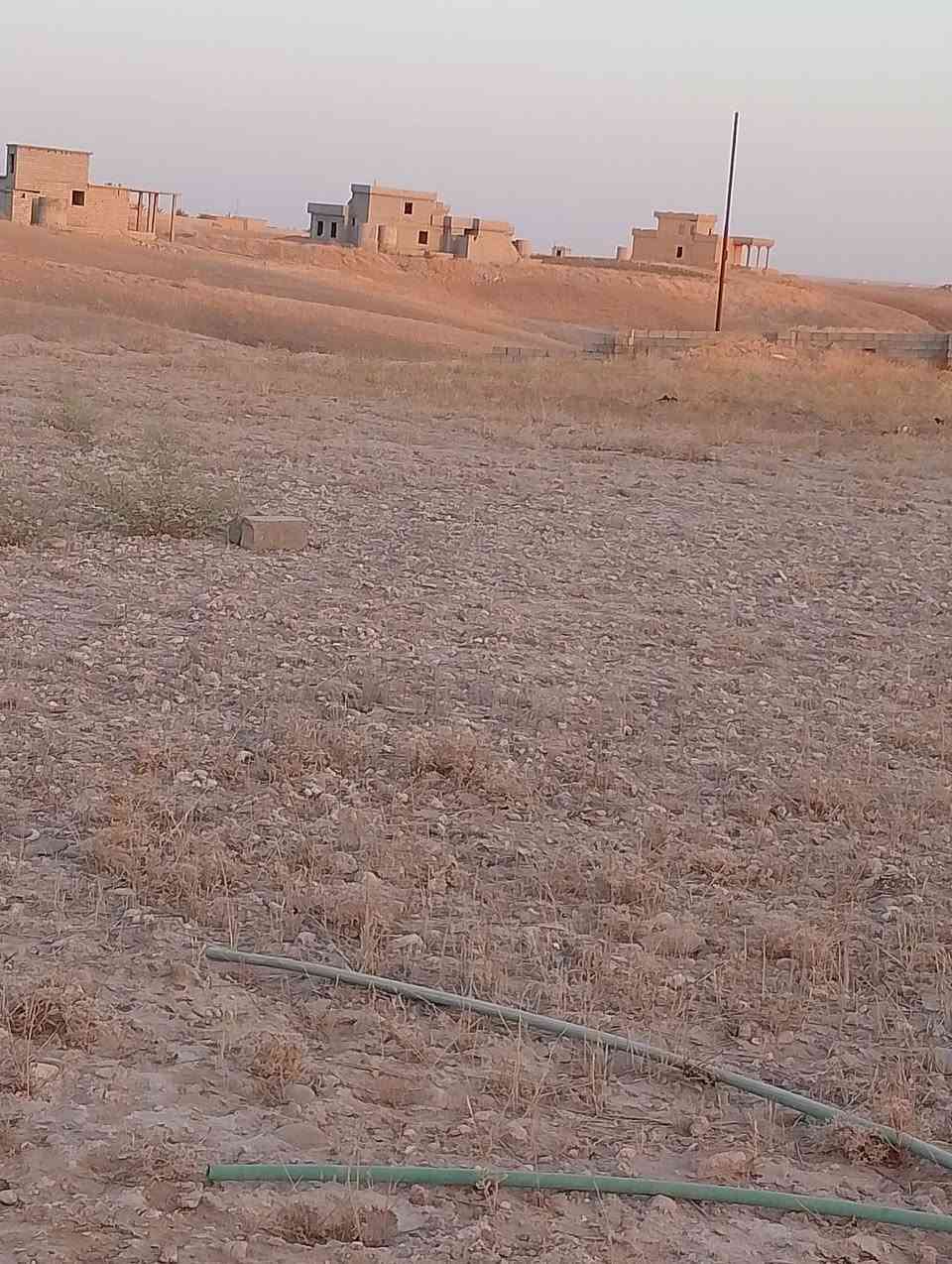 قريب محطة الرملي • واصلة كهرب ومية • حقل أبقار