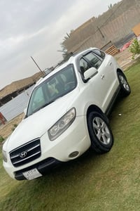 سنتافي • ٢٠٠٩ • سبع راكب