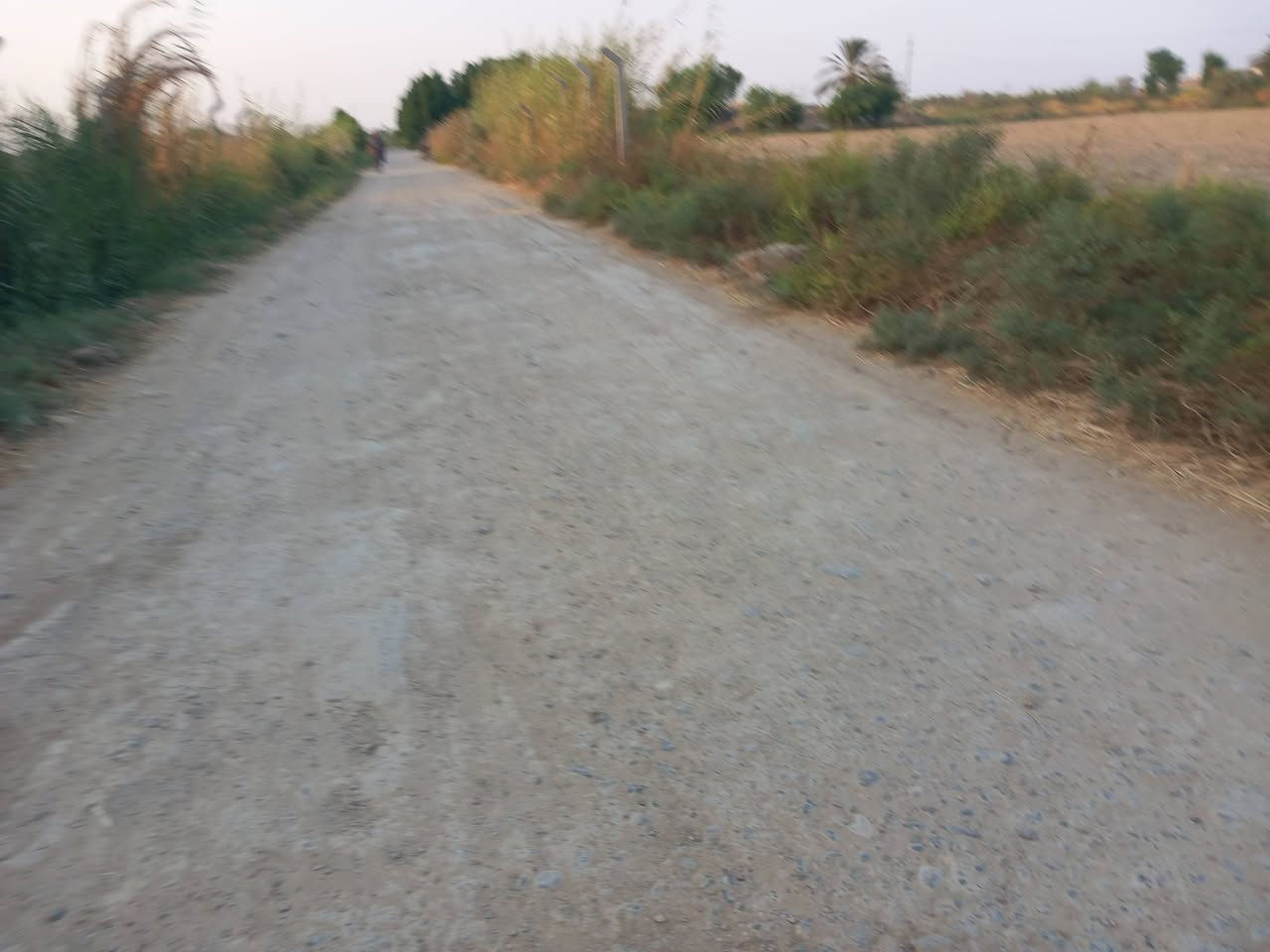 سلام عليكم يوجد ب
أرض زراعيه البيع المساحه ثلاث دونم العنوان كوت اليوسفيه للاتصال ***********

