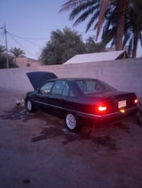 كارتون • بدون صبغ • بابل حله