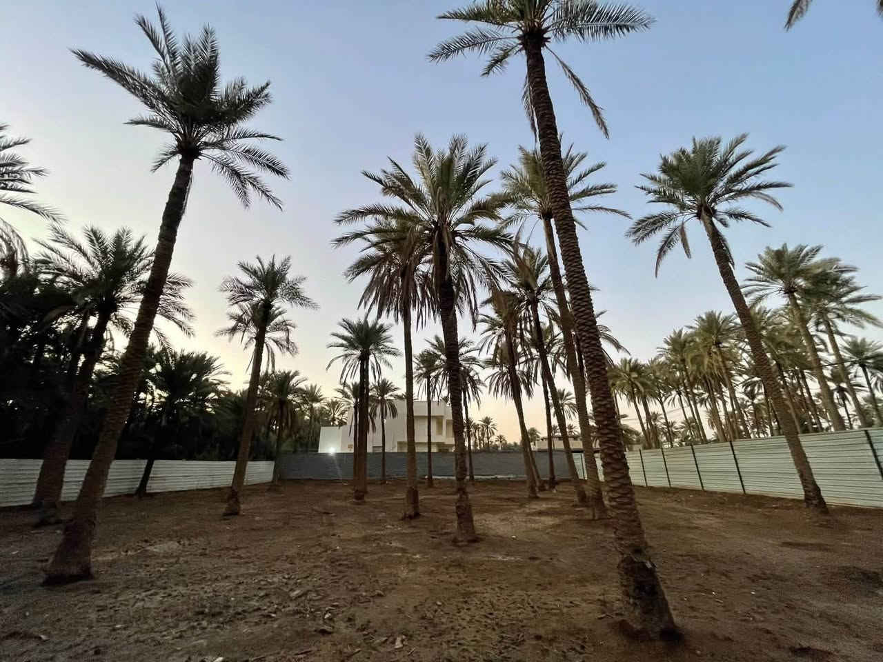 كربلاء السيدة زينب • ٥٠٠م • مسيجة ومخدومة