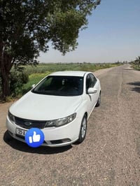 سيراتو • ٢٠١١ • رقم سليمانيه