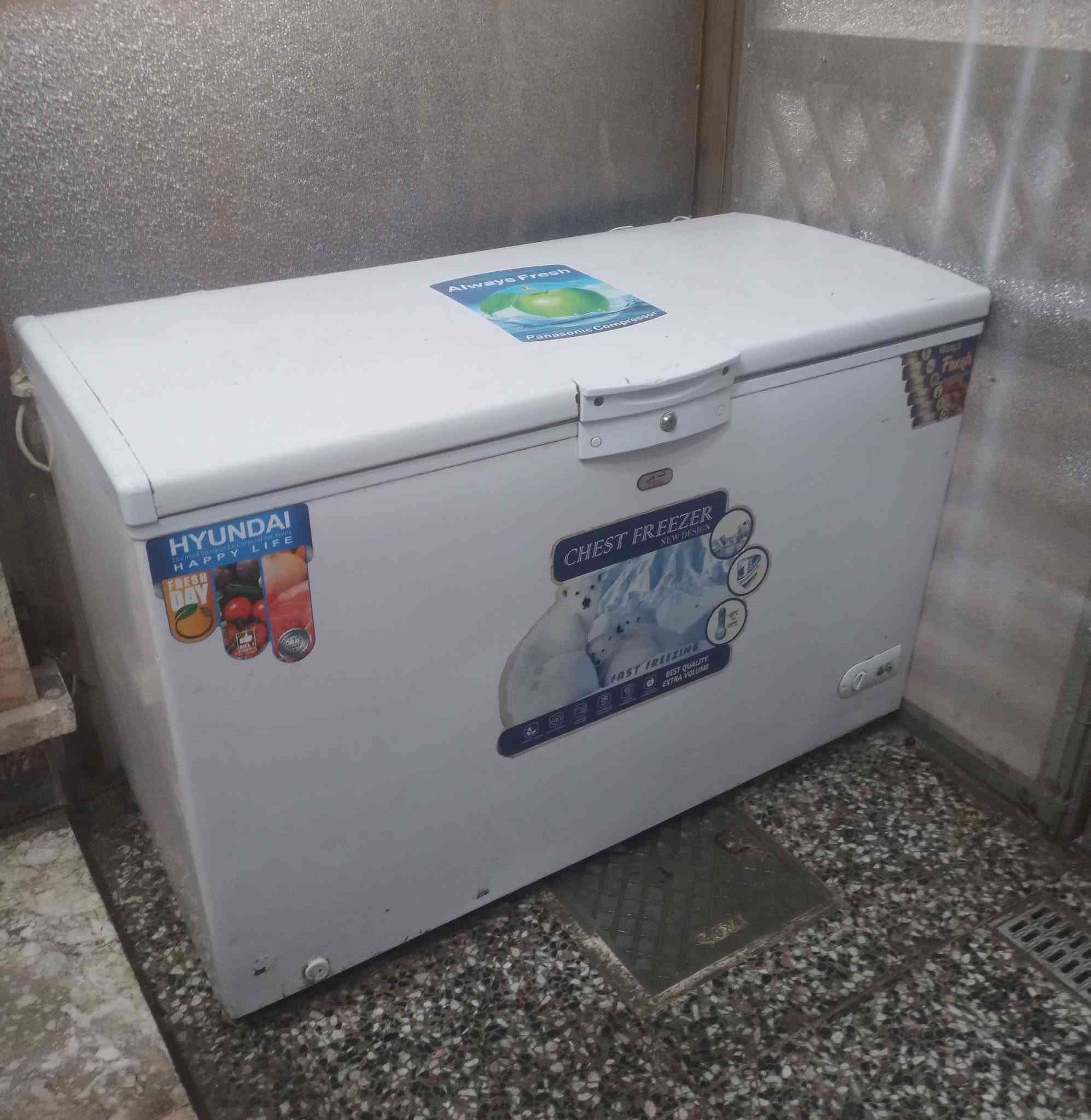 عارضة عمودية نظيفة...
شغالة عل الفحص..شرط تبريدها فووووول...ب ١٧٥ الف

مجمدة نظيفة...
شغالة عل الفحص...شرط تجميدها فووووول...
بلادية مداخلة تصليح ب  ١٥٠  الف

مبردة نظيفة ب ٧٥  الف
واذا كلهن احسبهن ب  ٣٥٠  الف
بغداد الشعب  ***********
للاستفسار اتصال واتساب أو رصيد...
اتصال فقط...لايوجد توصيل
