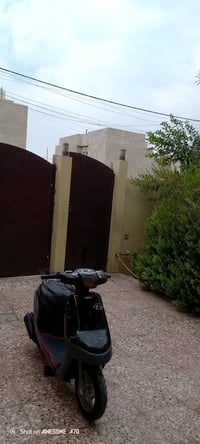 ماطور بوتين • شاصي مقوه • مكينه تخبل