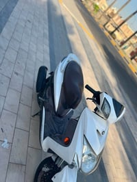 سكنس فحل • ياباني • مكفوله