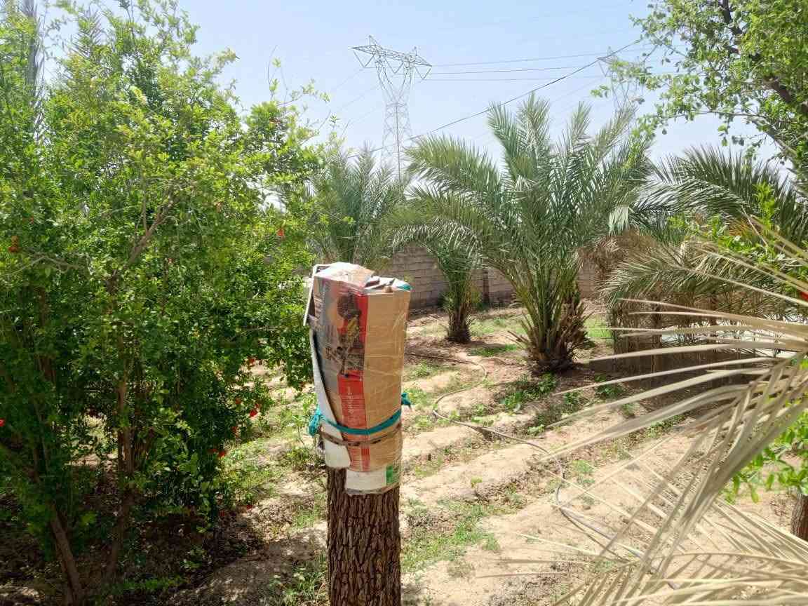 قطعة ارض للبيع 1500 متر مع دار متكون من غرفتين نوم +صالة +مطبخ +ستقبال + حمام داخل البيت + صحيات خارجية . بي كافت الخدمات .ماء.كهرباء العنوان تقاطع النهروان مقابل اسواق القمة . السعر نتصالل على الرقم ***********
