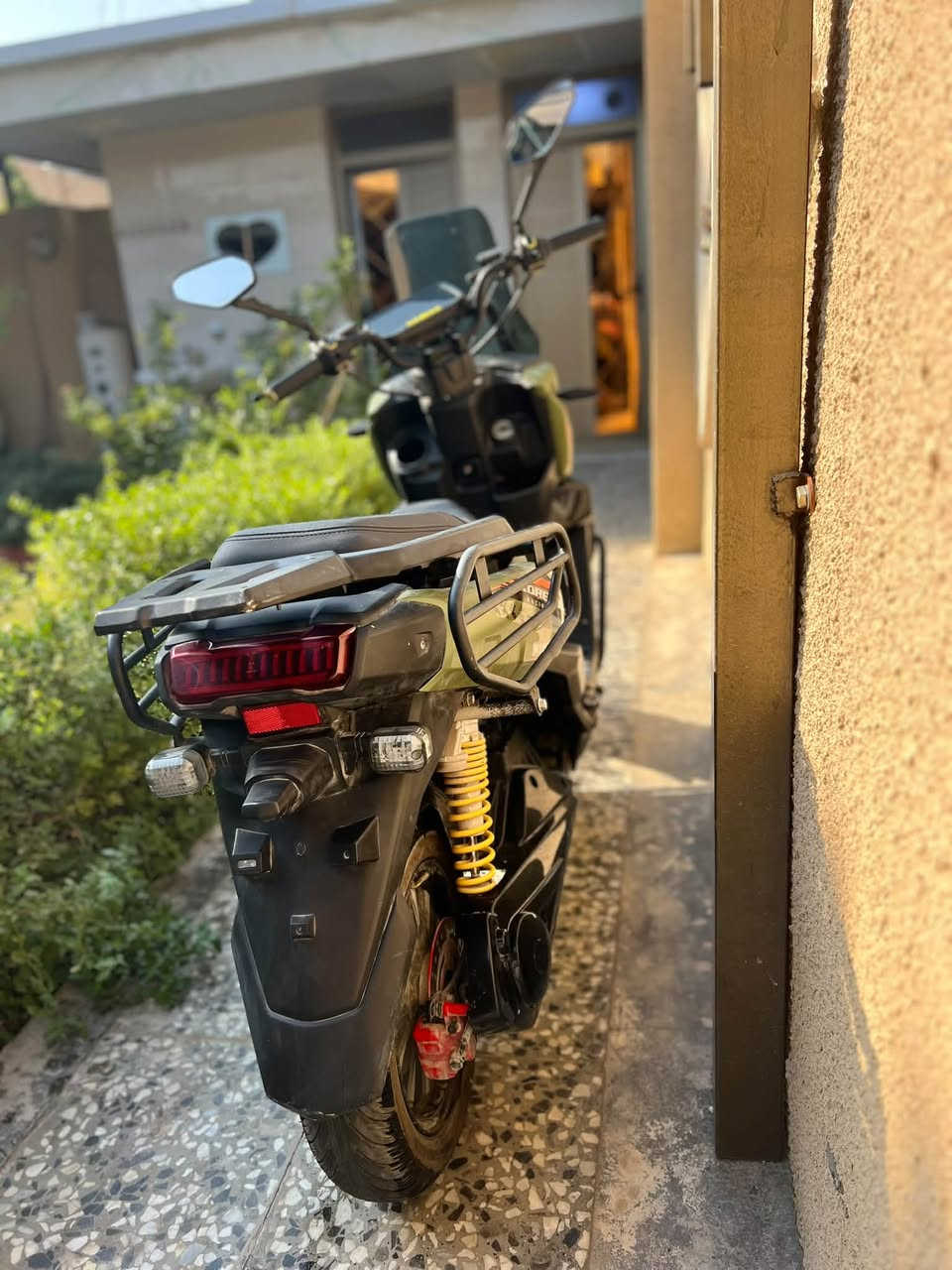 فحل • ١٣٥ • بصمة