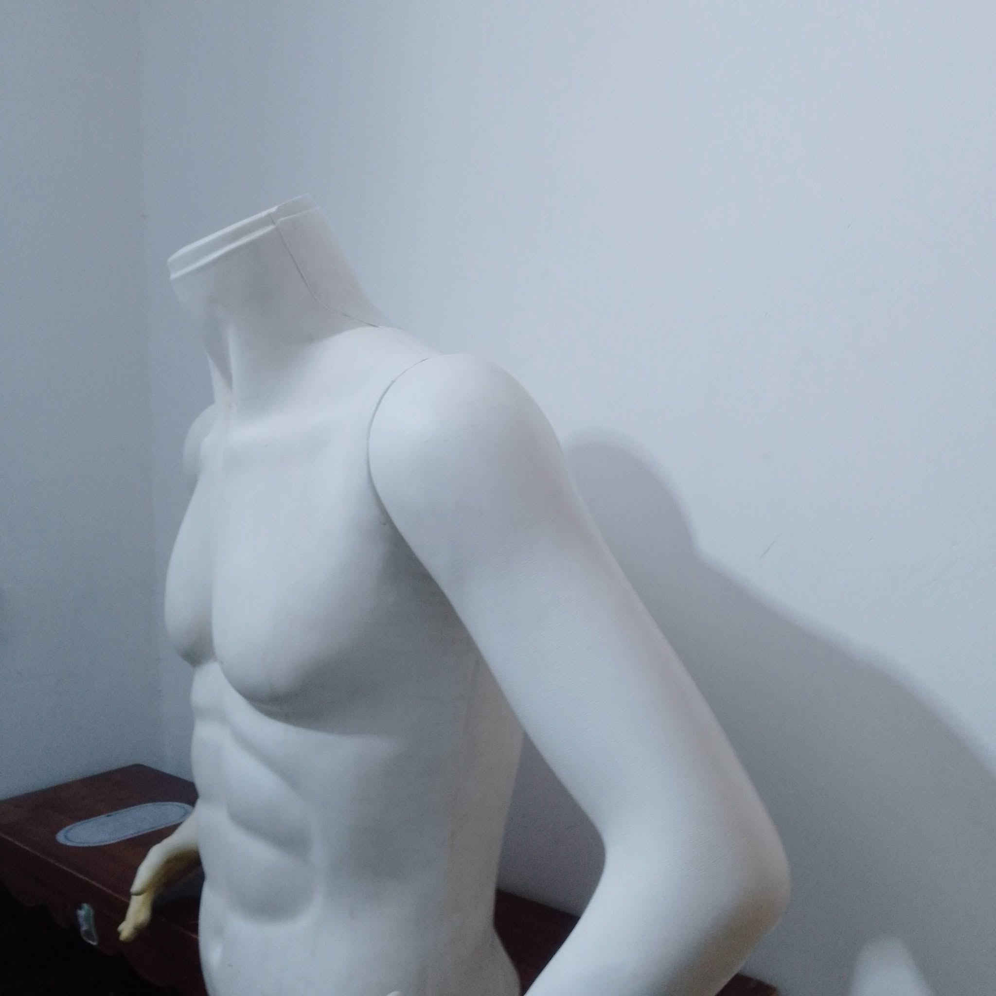 مجسمات • بابل المحاويل • توصيل لجميع المحافظات