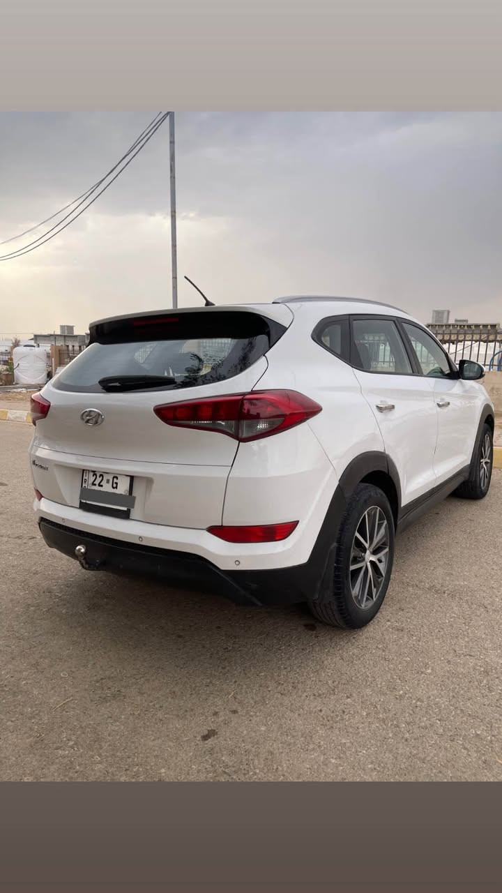 توكسون • ٢٠١٧ • ٤ قطع صبغ