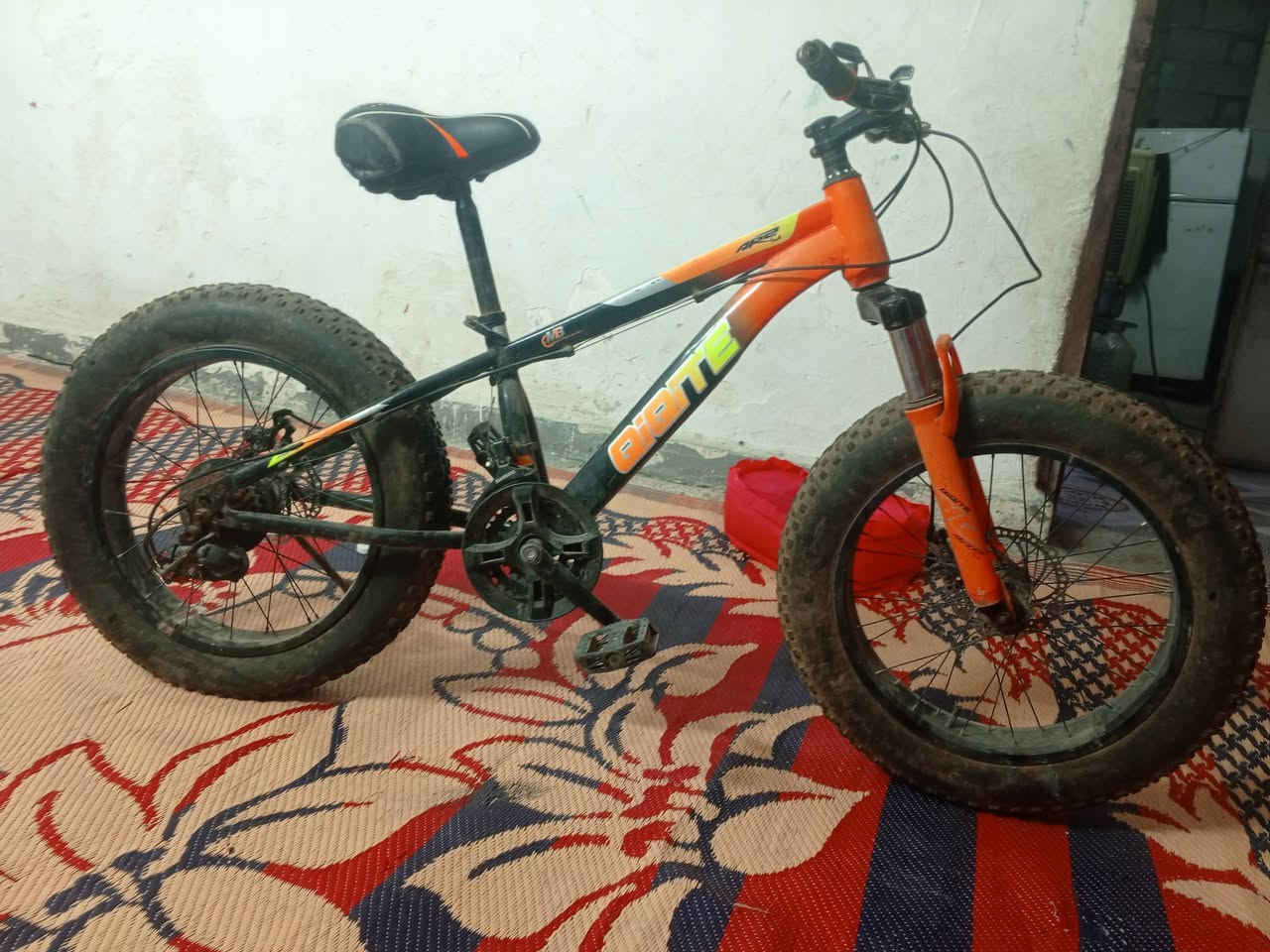 بايسكل • جديد • بدّه زنجيل