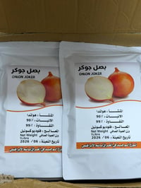 بذور بصل جوكر • الحيدرية الحولي • جودة عالية