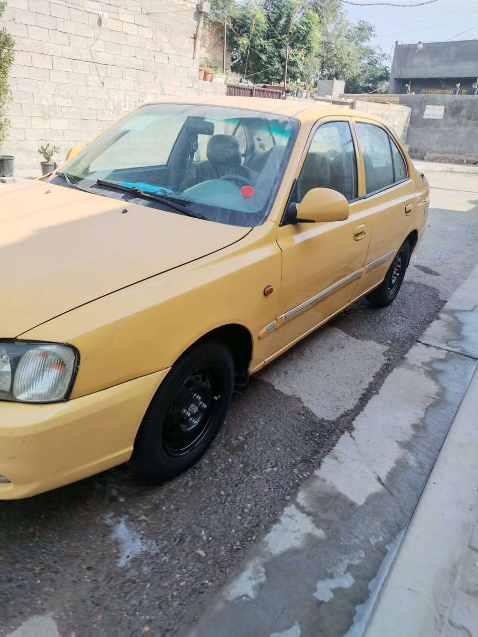 فيرنا • ٢٠١٤ • بغداد