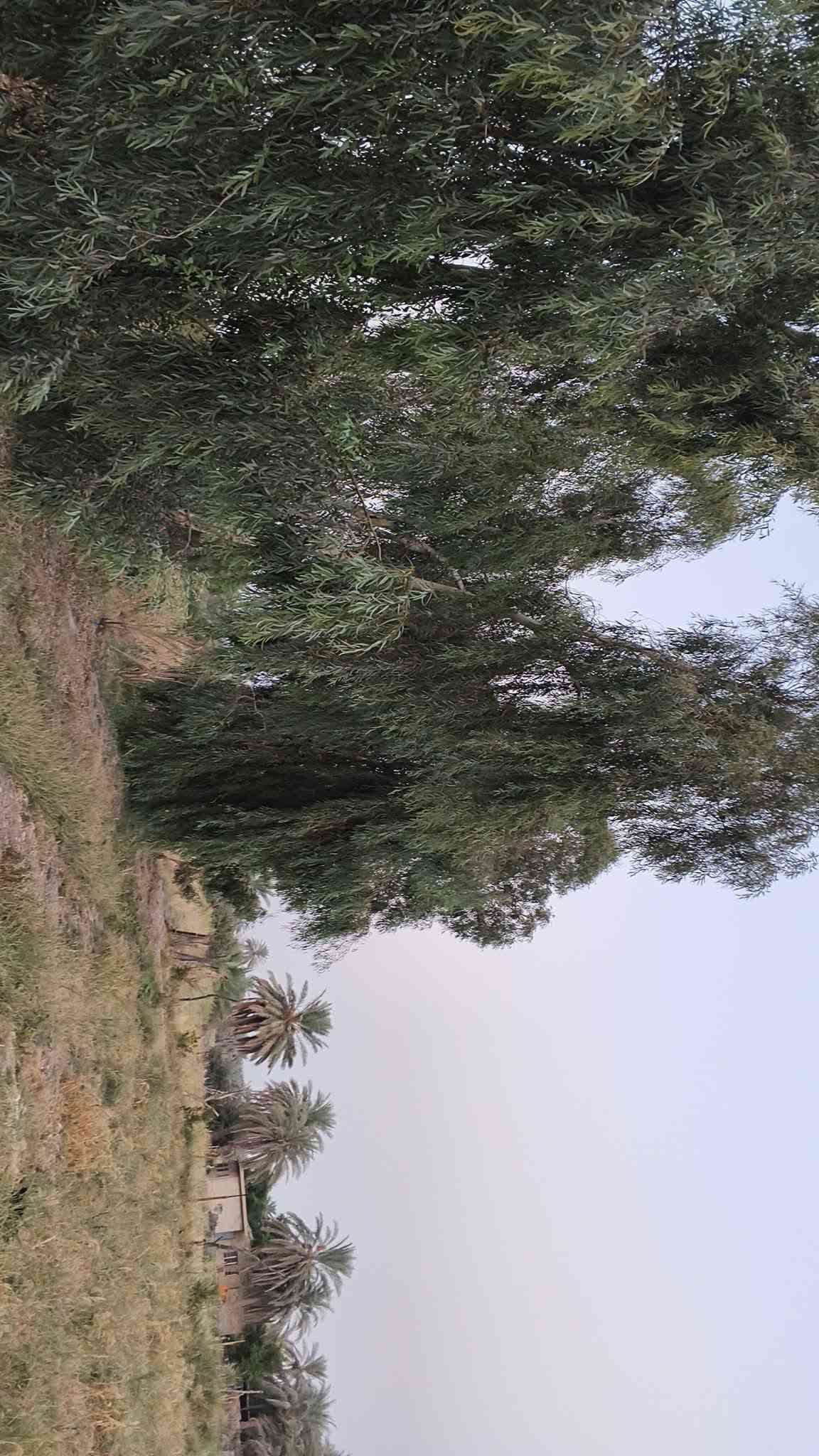 مزرعه معه دار حديث البناء زراعي  ومسيجه وكامله خدمات من تبليط للباب ماء مستوصف صحي البيت غرفتن وصالتين ومطبخ واستقبال وصحيات داخليه و خارجيه تبعد عن السوق ابو غريب خمس دقائق واجت البيت 12م ونزال12البيت مطبك كرانيت داخل وخارج للتفاصيل أكثر اتصل أو راسل واتساب ***********
