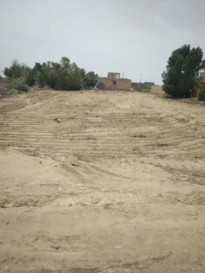 نص دونم • طابو زراعي • سند ٢٥
