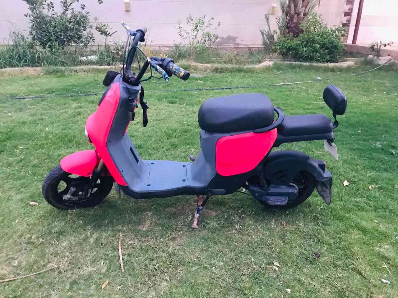 دراجة شحن • ١٤ كشر • بدون بطاريات