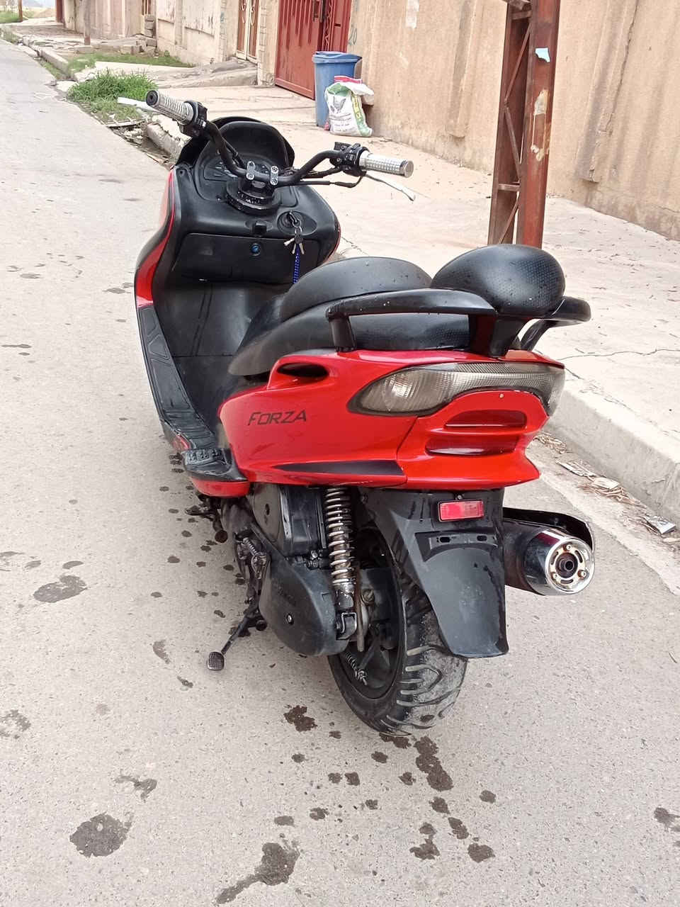 ماجستا • مامفتوح • سلف وهندر