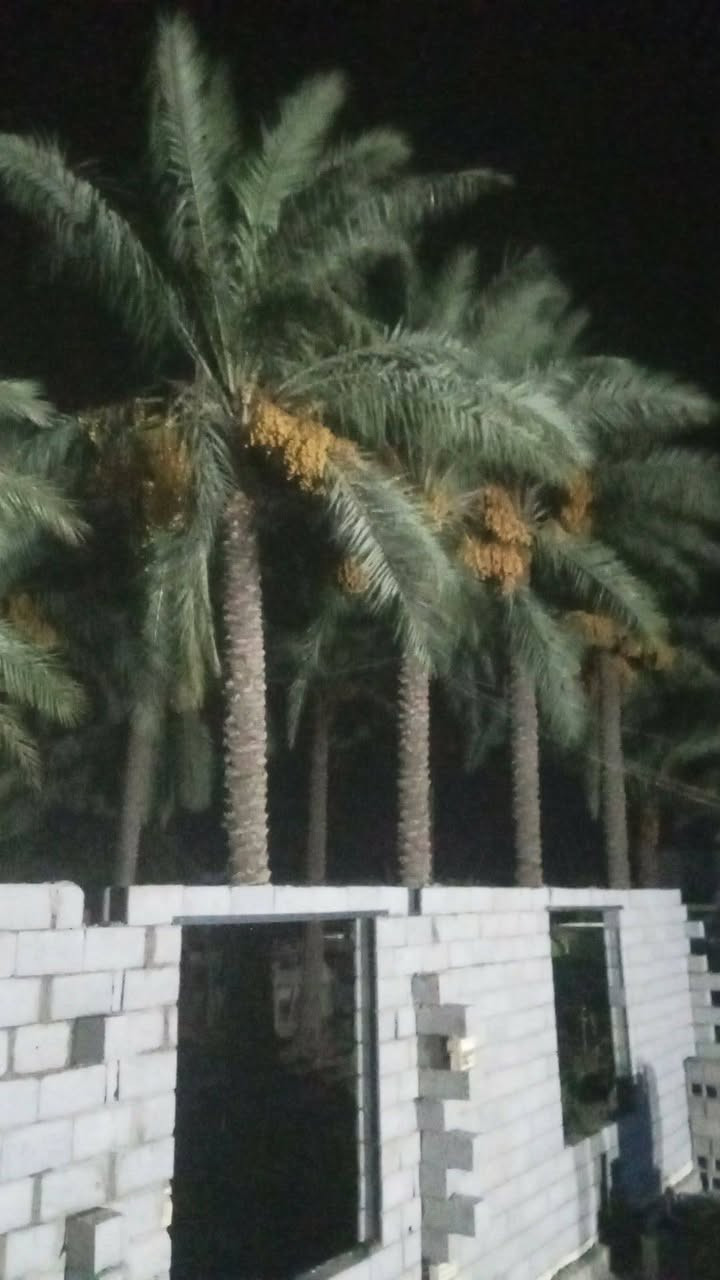 السلام عليكم كادر بناء مصري تسليم هندسي وبانسب الاسعار ***********
