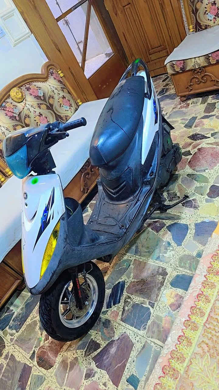 سكنس • مامفتوحه • سلف