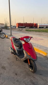 ماكس عدلة • مزروعة • ٥٥