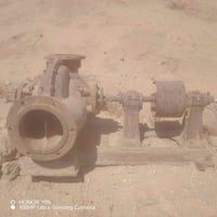 خنزيره • 8ب10 • نضيفه