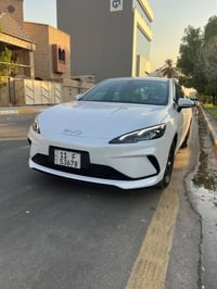 بي واي دي سيل • ٢٠٢٥ • اليرموك