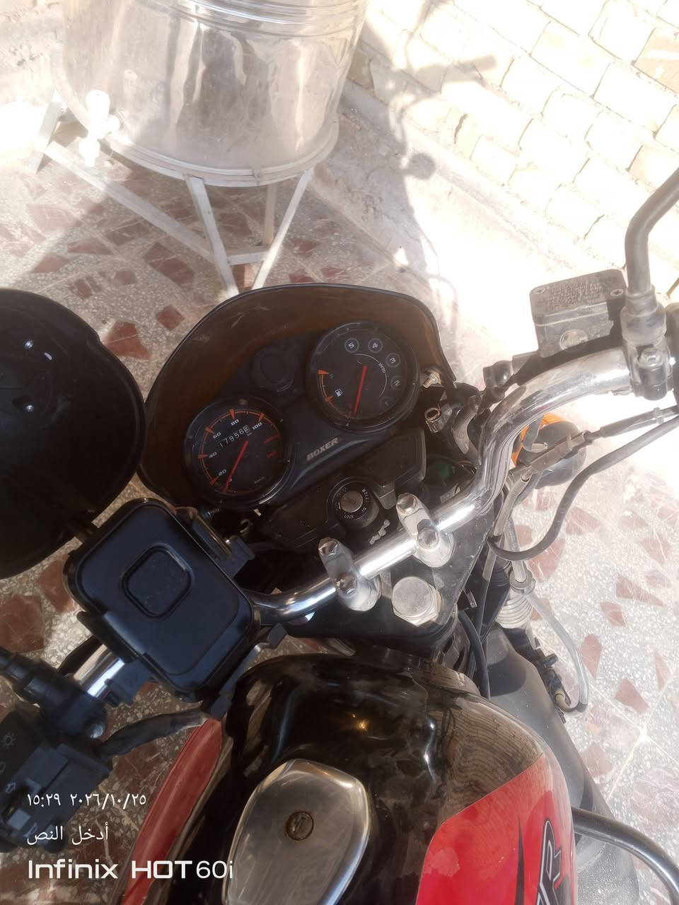 بوكسر • ٢٣ • مرقمه