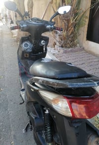سكنس فحل • سلف • اشاير دبل