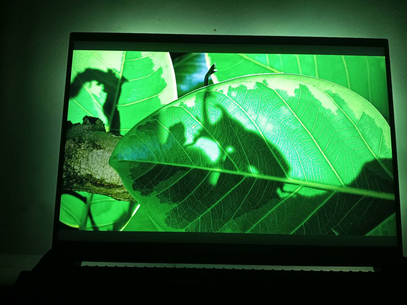 Razer Blade 18 2025 (RTX 5070 Ti) Dual 4K UHD+240Hz | FHD+440Hz Gaming Laptop
(🍀 للبيع فقط🍀) 
سعره ببعض الدول حاليا كجديد
Its price as new in some countries:
3,500$ in USA
3,600£ in UK
3,700€ in Europe 
5,000$ in Singapore
20,00 SAR in Saudi Arabia
لابتوب كيمنك اشبه ب PC متنقل. 
بهيكل من الألمنيوم.. وبشاشة مضادة للانعكاسات. 
يشغل أقوى الألعاب بأعلى إعدادات وفريمات ويشغل افلام 4k
قابل لزيادة RAM الى 96GB و Storage الى 8Tera
يمكنك إضافة RTX خارجي ايضا.
صوته عالي فيه 6 سماعات. 
It's loud.. it has 6 speakers.

Gaming Laptop: Razer Blade 18 2025 Dual 4k UHD+ 240 Hz  FHD+ 440 Hz 
Graphics: NVIDIA GeForce RTX 5070 Ti (12 GB GDDR7 VRAM)
Processor: Intel CoreTM Ultra 9 275HX
Storage: 1 TB SSD Memory: 32 GB
Screen Size: 18 inch   16:10
400 Watt
Thunderbolt 5
You can add RTX External too
Other Features.................... 
No damage, clean 100% 
Used like new

سأعطيك معه مجانا:
I will give you with it:
إضاءة تفاعلية تتغير مع ما هو معروض على الشاشة. 
Backlight that reacts to what is displayed on the screen - Free

حقيبة ظهر تناسب حجمه
Backpack that fits its size - Free

 برنامج SVP 4 PRO لزيادة السلاسة و عدد الفريمات اثناء مشاهدة الافلام والمسلسلات. /حذف الأطارات السوداء من الافلام والمسلسلات والأنمي. 
SVP 4 PRO Program to increase Movies frame rates /And remove black bars from Anime, Movies and T Series
السعر شكد نهائي؟ وهل أكو مجال بسيط للمساومة لو ثابت؟: 
بيه مجال للشراي