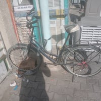بايسكل بناتي • حجم ٢٧ • بغداد كمالية شارع أصفر