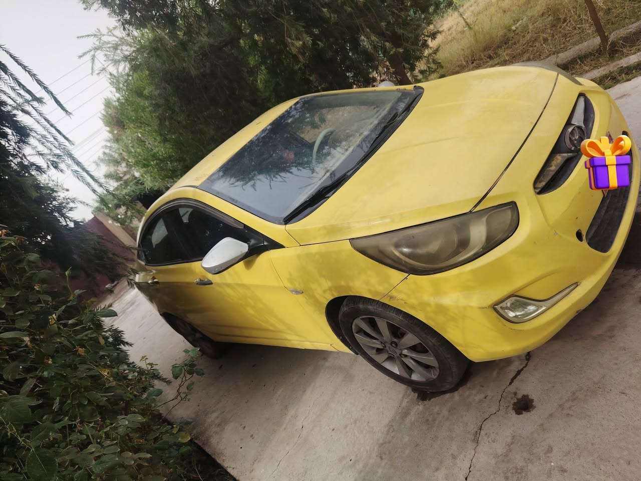 اكسنت ٢٠١٢ • رقم نينوى • أحمر