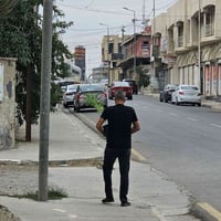 مدينة الموصل • زراعة شجر • الاسبوع القادم
