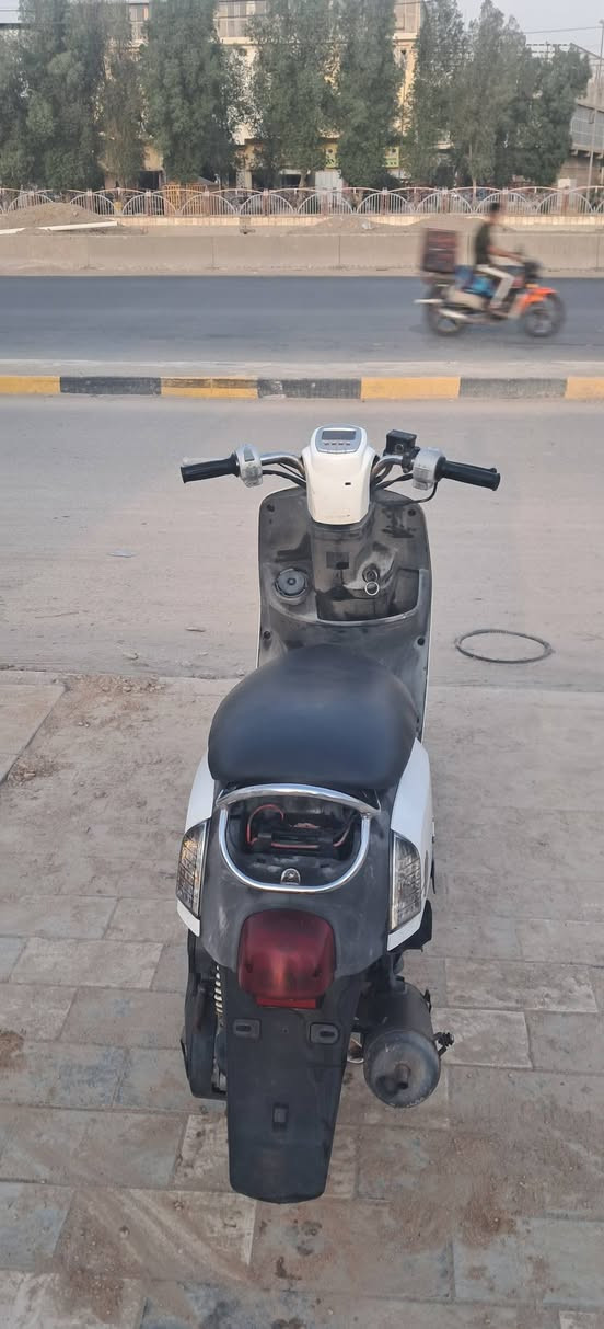 ماكس بولسي • نوزل • حله