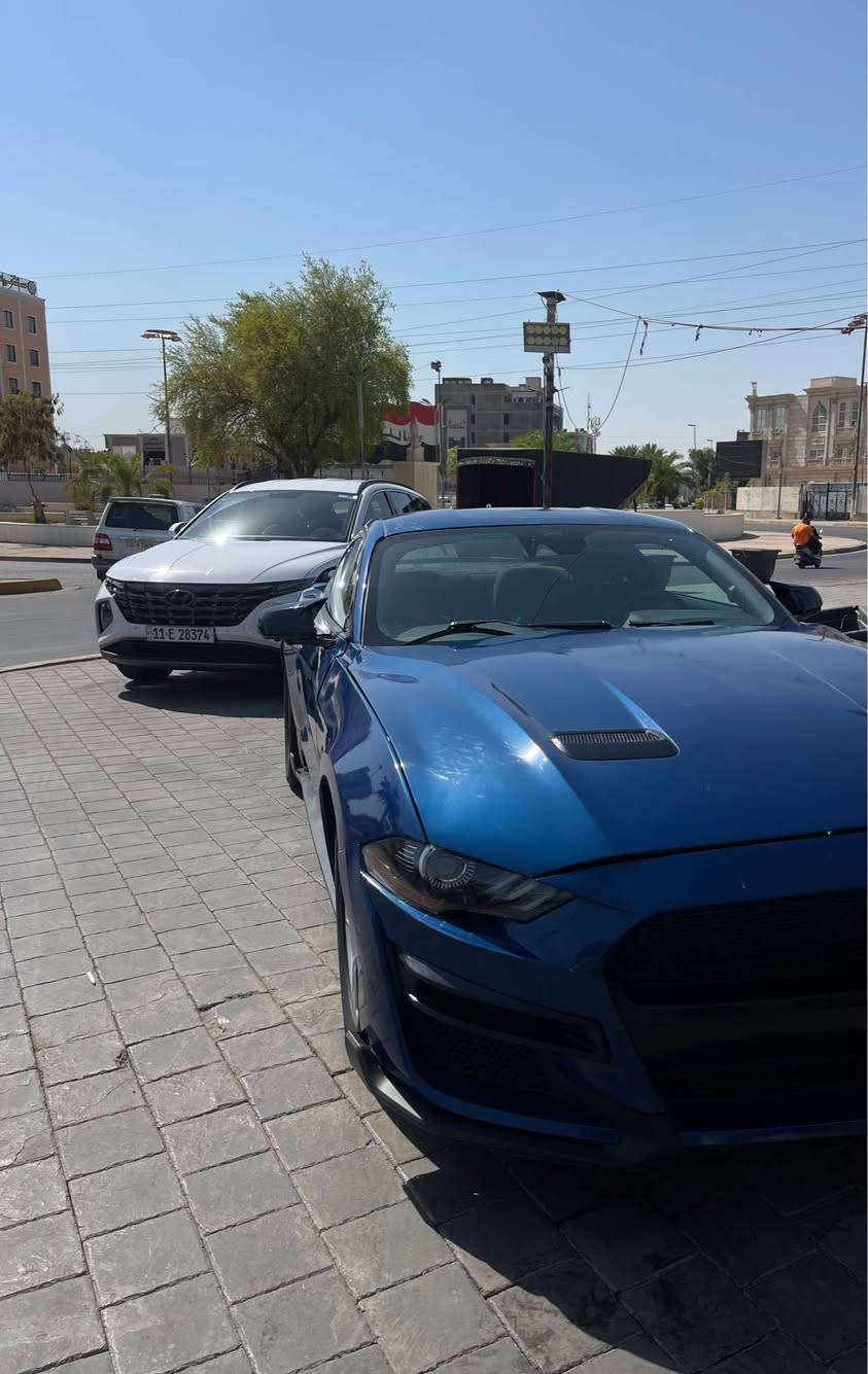 سلام عليكم
❌ب125 ورقة مديل 2023 ايكو بوست سيارة تخبل وكامله من كل النواقص رقم بغداد بأسمي اخت الابلاش
حادثها بنيد وجاملغ امامي لون مميز ويل كب تراك بكج عليها الأصلي وتجي وتشوف السيارة بعينك مكاني بغداد الشعلة والسعر قابل للتفاوض بشي بسيط اتصل وانا حاضر
 *********** بغداد, العراق
