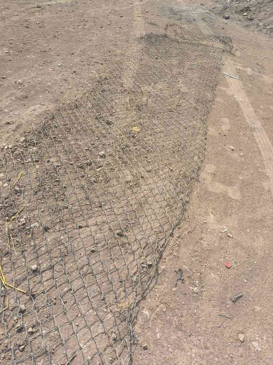 سيم غنم • قديم زين • تربيه