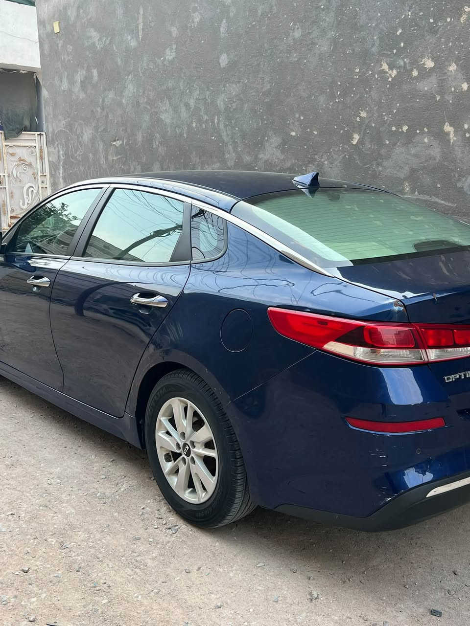 اوبتيما 2019 • وارد امريكي • كفاله نص