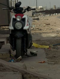 سكنس جبلي • شرط الوكاله • 1600